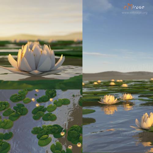 white lotus flower preview image